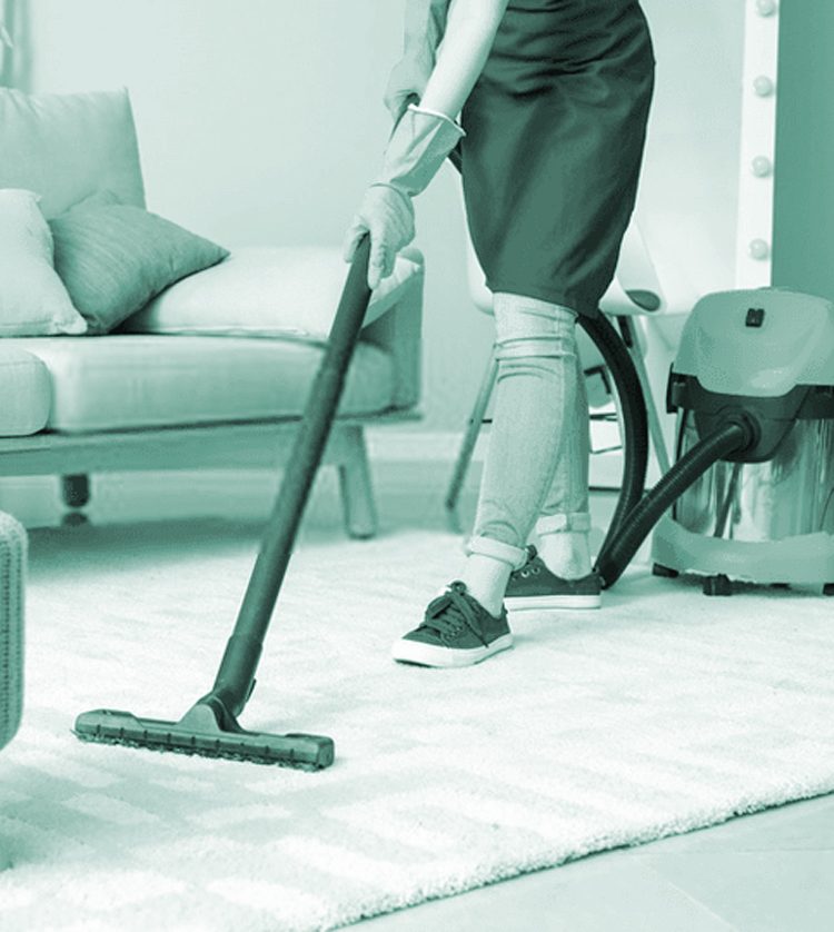 domestic-clean-1