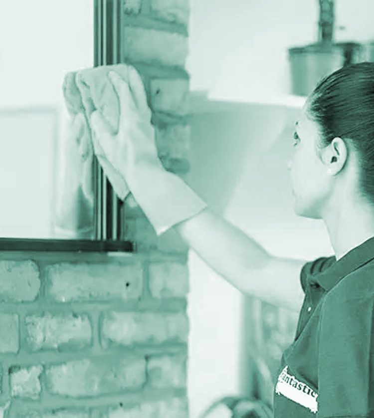 domestic-clean-2